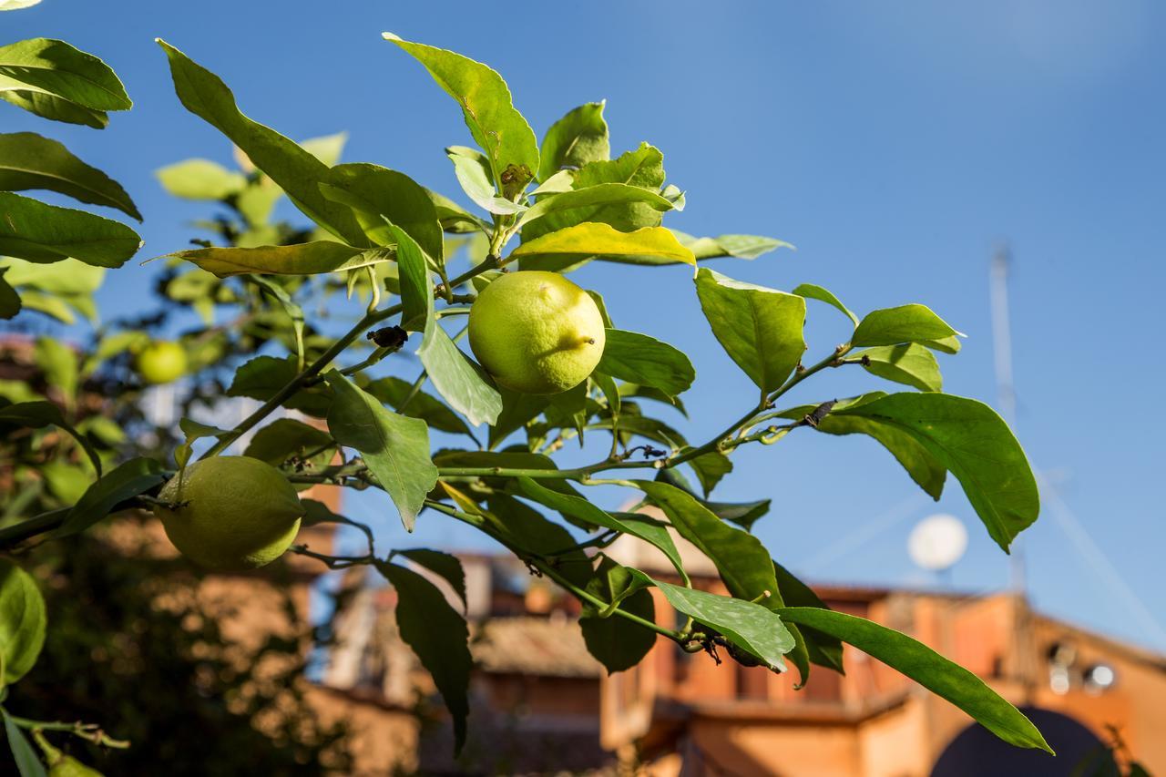 Trastevere Apartments Rome Exterior photo